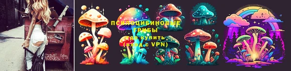 индика Баксан