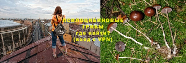 a pvp Покровск