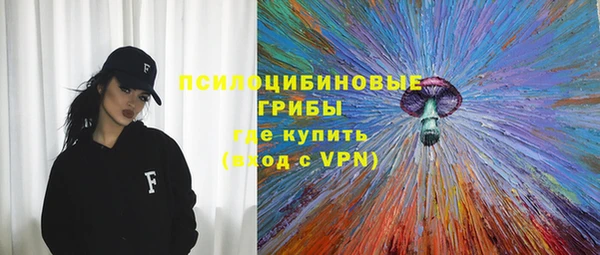 PSILOCYBIN Балабаново