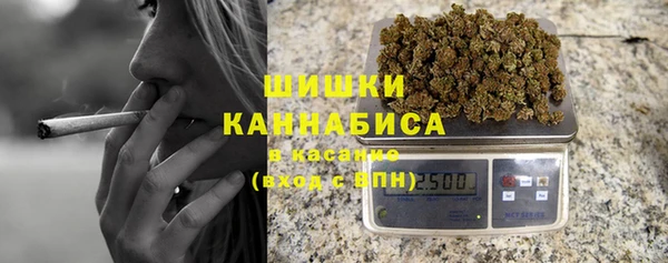PSILOCYBIN Балабаново