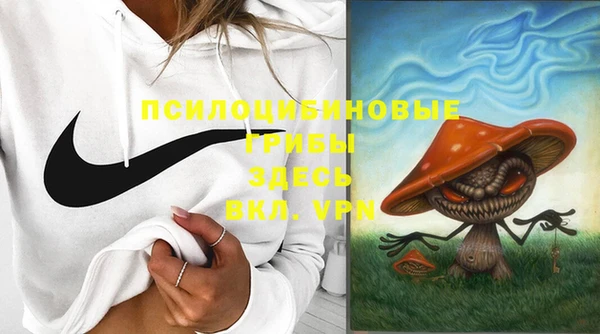 индика Баксан