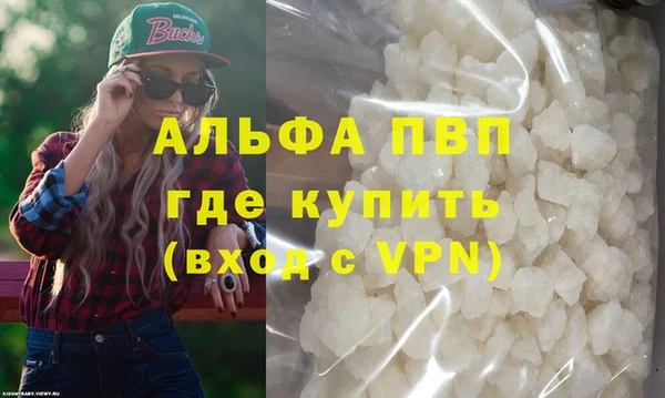 PSILOCYBIN Балабаново