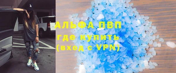 индика Баксан